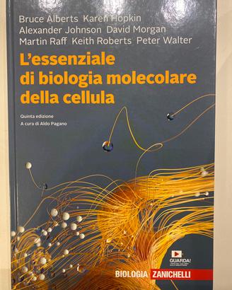 L’essenziale di biologia molecolare della cellula