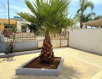 Villetta a due passi dalle spiagge di sabbia