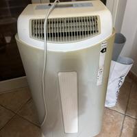 Pinguino aria fredda marca Airwell classe A