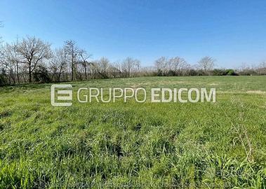 Terreno, Corteolona e Genzone.