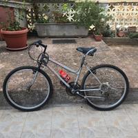 Bici Shimano Gino Bartali 