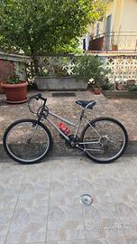 Bici Shimano Gino Bartali 