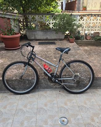 Bici Shimano Gino Bartali 