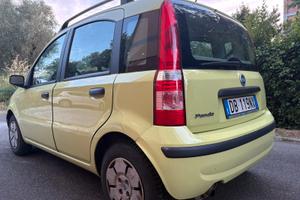 Panda 1100 active del 2006