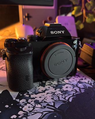 Sony a7s + Tamron 35 2.8