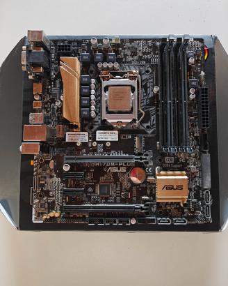 Scheda madre Asus + processore Intel i5-6600k