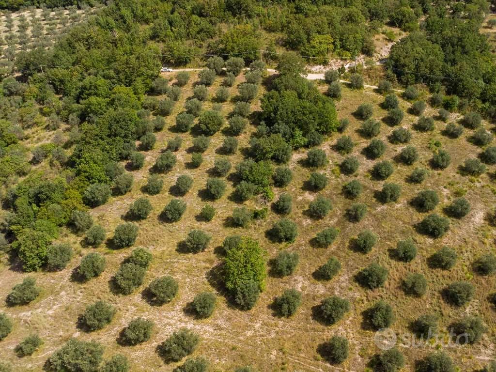 Terreno di 3770 m² a Poggio Nativo - Vista 2