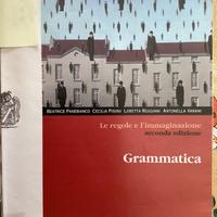 Grammatica-  le regole e l’immaginazione