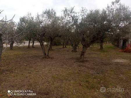 Rustico / Casale di 160 m² con più di 5 locali a F - Vista 3