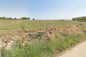 Terreno Zona S.P. 235