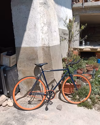 bicicletta 