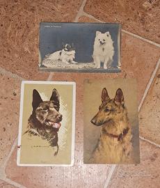 set cartoline animali  anni 20