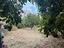 Immagine 20