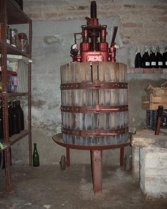 Torchio