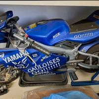 MINIMOTO REPPLICA YAMAHA