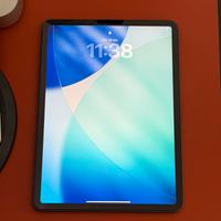 Ipad pro11 - 256