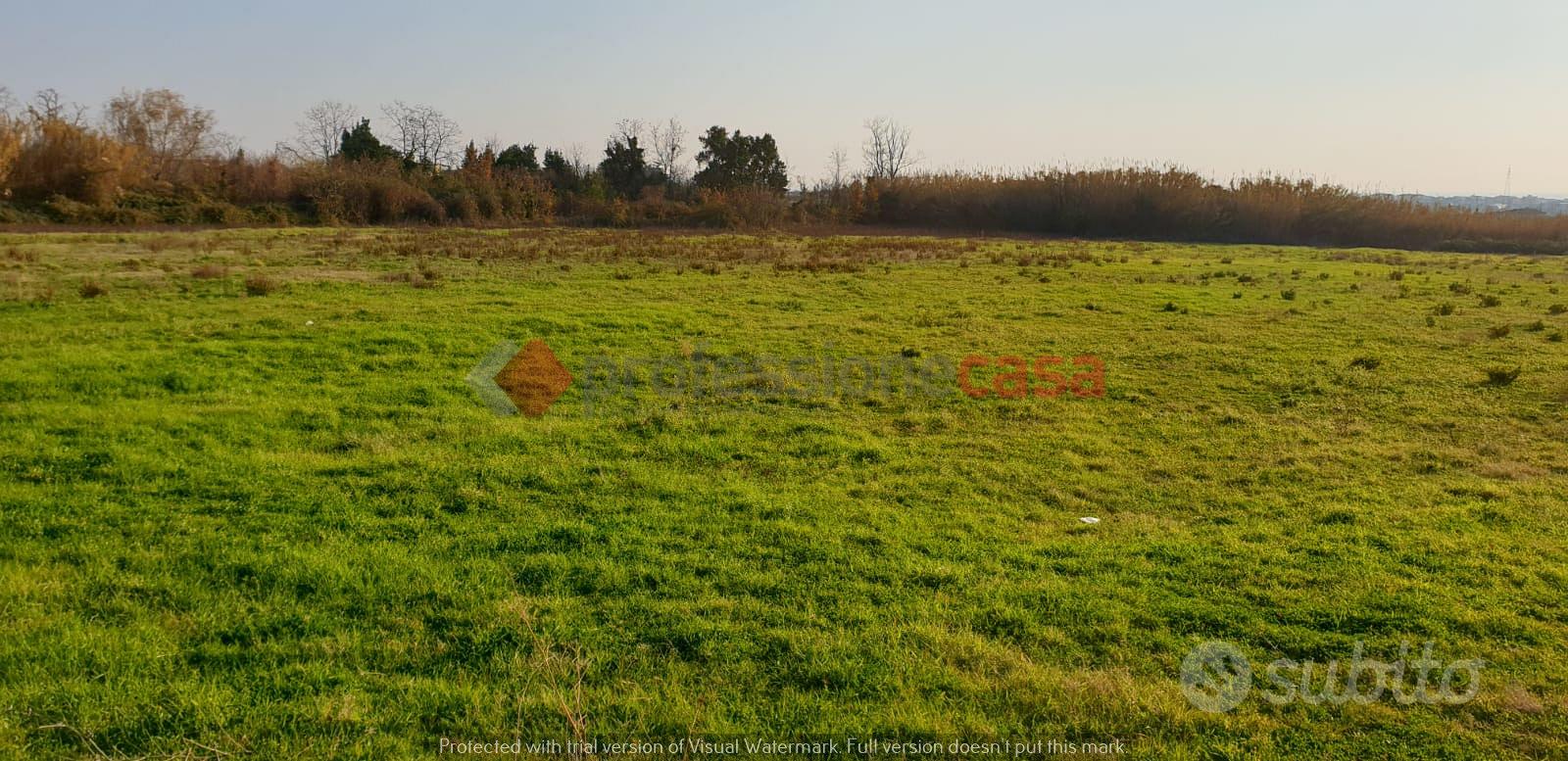 Pontecagnano faiano- terreno agricolo - Vista 4