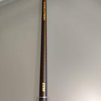 Daiwa Luvias Evolution Bolo Italy 5mt
