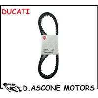 COPPIA CINGHIE ORIGINALI DUCATI ( DENTI TONDI )