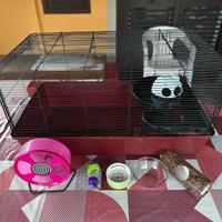 GABBIA E ACCESSORI PER CRICETI