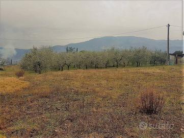 Terreno di 1850 m² a Lucca