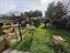 Immagine 23