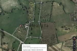 Terreno seminativo agricolo alberato Bruchito Enna