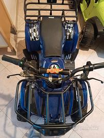 Altro Altro modello