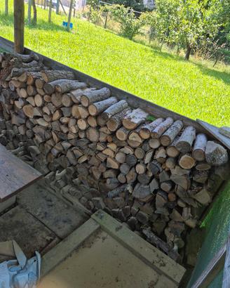 Legna da ardere già tagliata