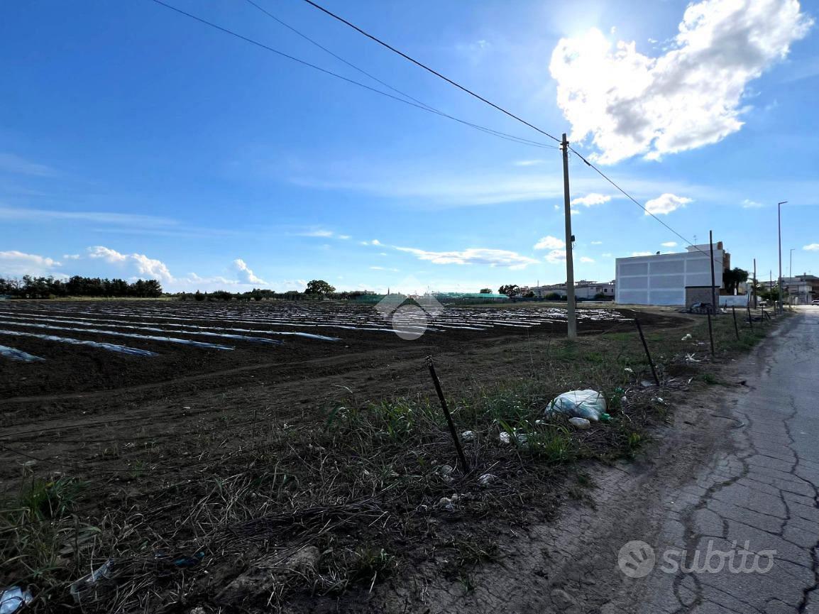 TER. AGRICOLO A MESAGNE - Vista 3