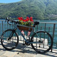 Cube Nuroad Race