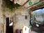 Immagine 12