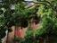 Immagine 18