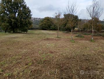 Terreno lago di Bolsena