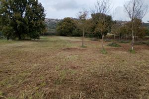Terreno lago di Bolsena