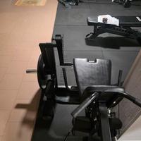 leg extension  / curl