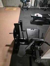 leg extension  / curl