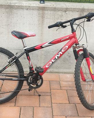 bici  da 24