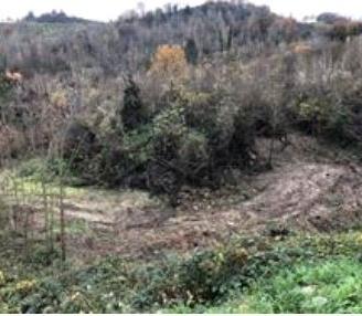 RGE 6/2022 Trib Urbino - LOTTO 2
