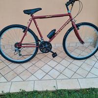 2 mountainbike usate