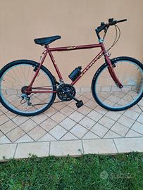 2 mountainbike usate