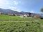 Immagine 13