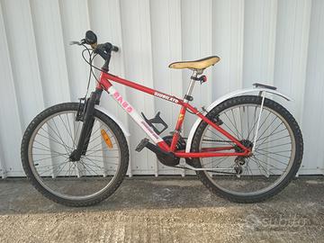 Mountain bike da ragazzo