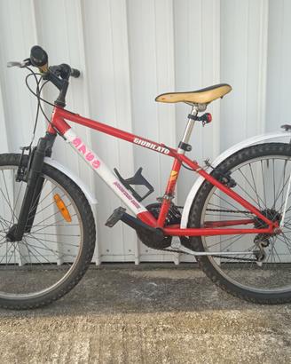 Mountain bike da ragazzo