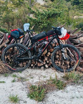 Mountain bike Full Scott suspended biammortizzata