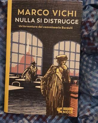 Marco Vichi Nulla si distrugge