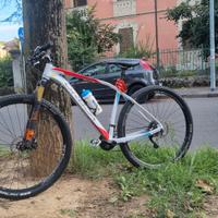 Bici da cross country 