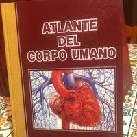 Enciclopedia, atlante del corpo e divina commedia.