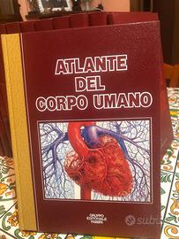 Enciclopedia, atlante del corpo e divina commedia.