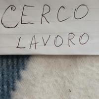 Badante e assistenza diurno Rozzano